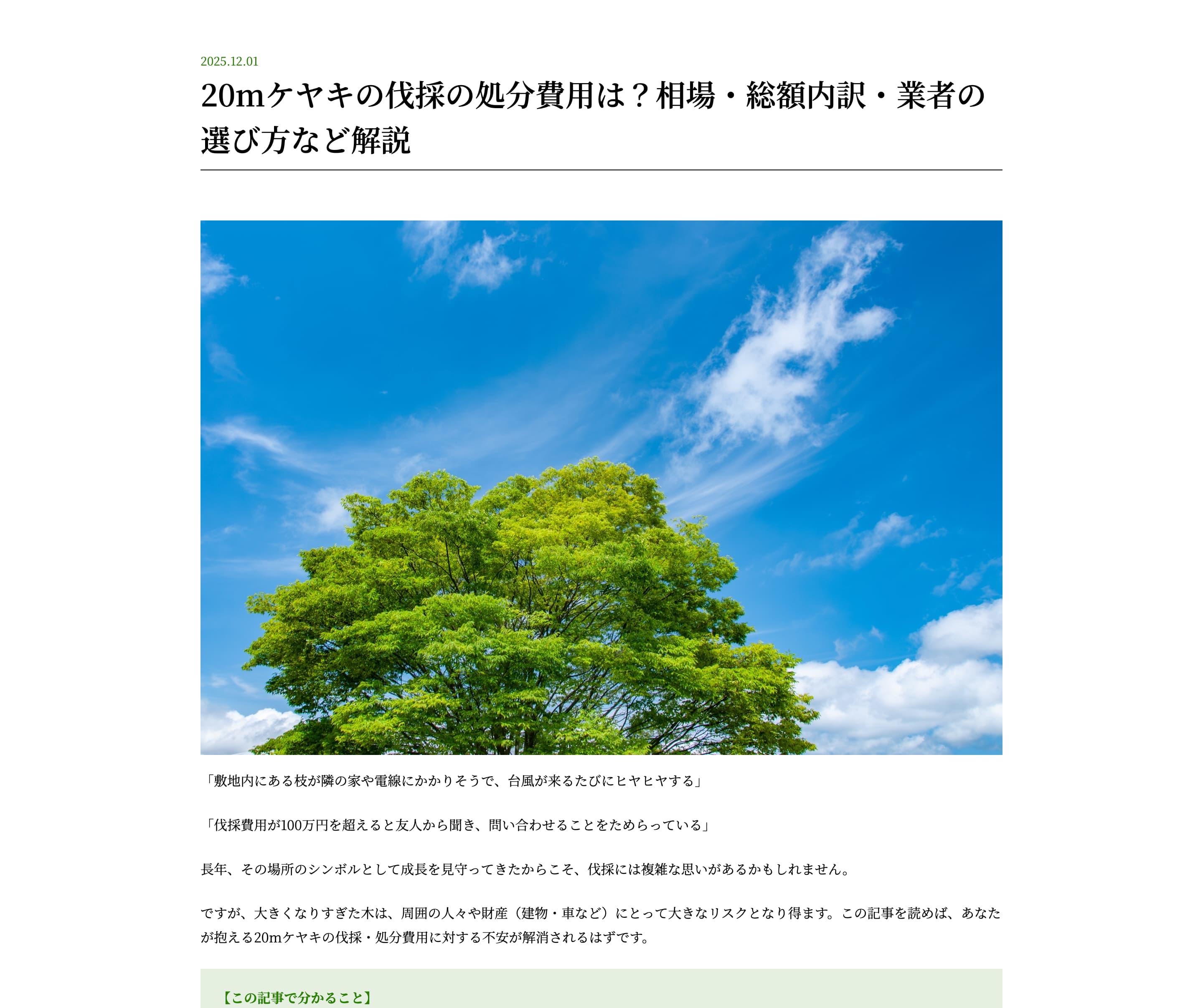 20mケヤキの伐採の処分費用は？相場・総額内訳・業者の選び方など解説